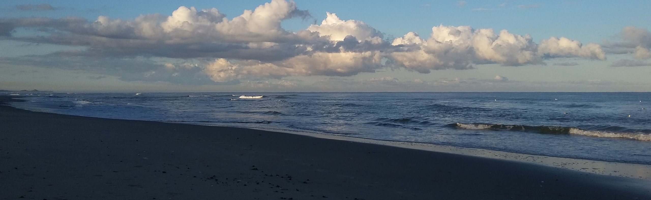 3 header