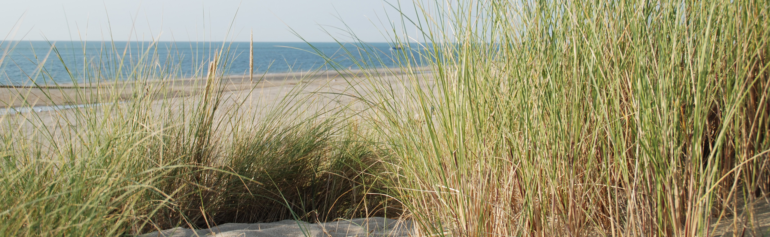 5 header